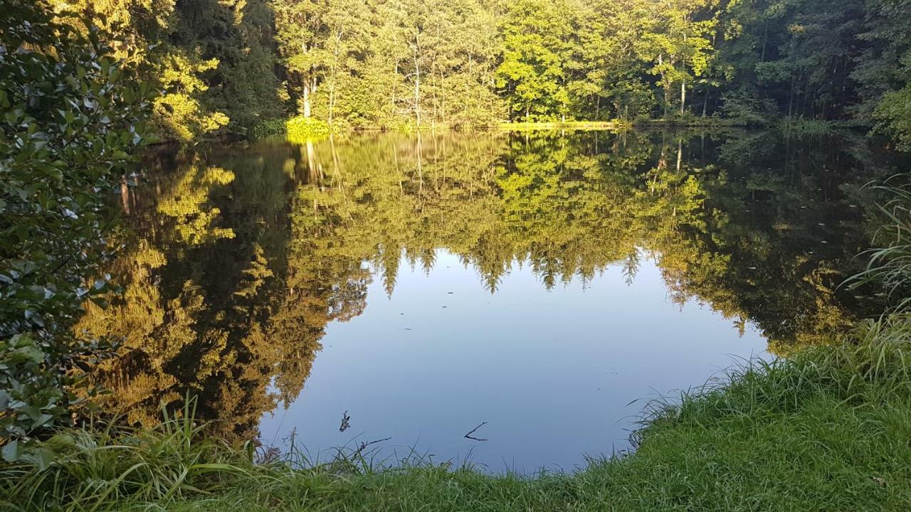 Apartman U Kolonady Mariánské Lázně Exterior foto